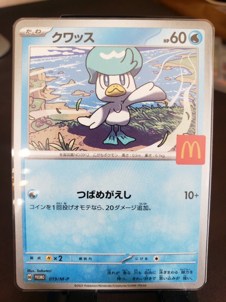 送料無料 ポケモンカード クワッス (019/M−P) プロモカード ハッピー