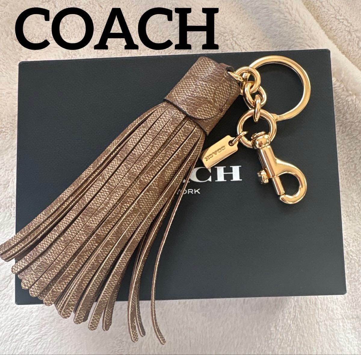 COACH コーチ ピクチャーフレーム キーホルダー シグネチャー レッド系