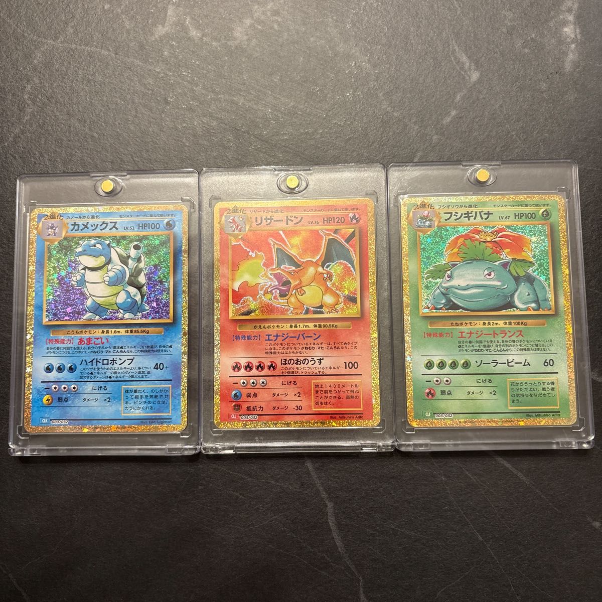 カメックス フシギバナ 25th プロモ セット 25周年アニバーサリー