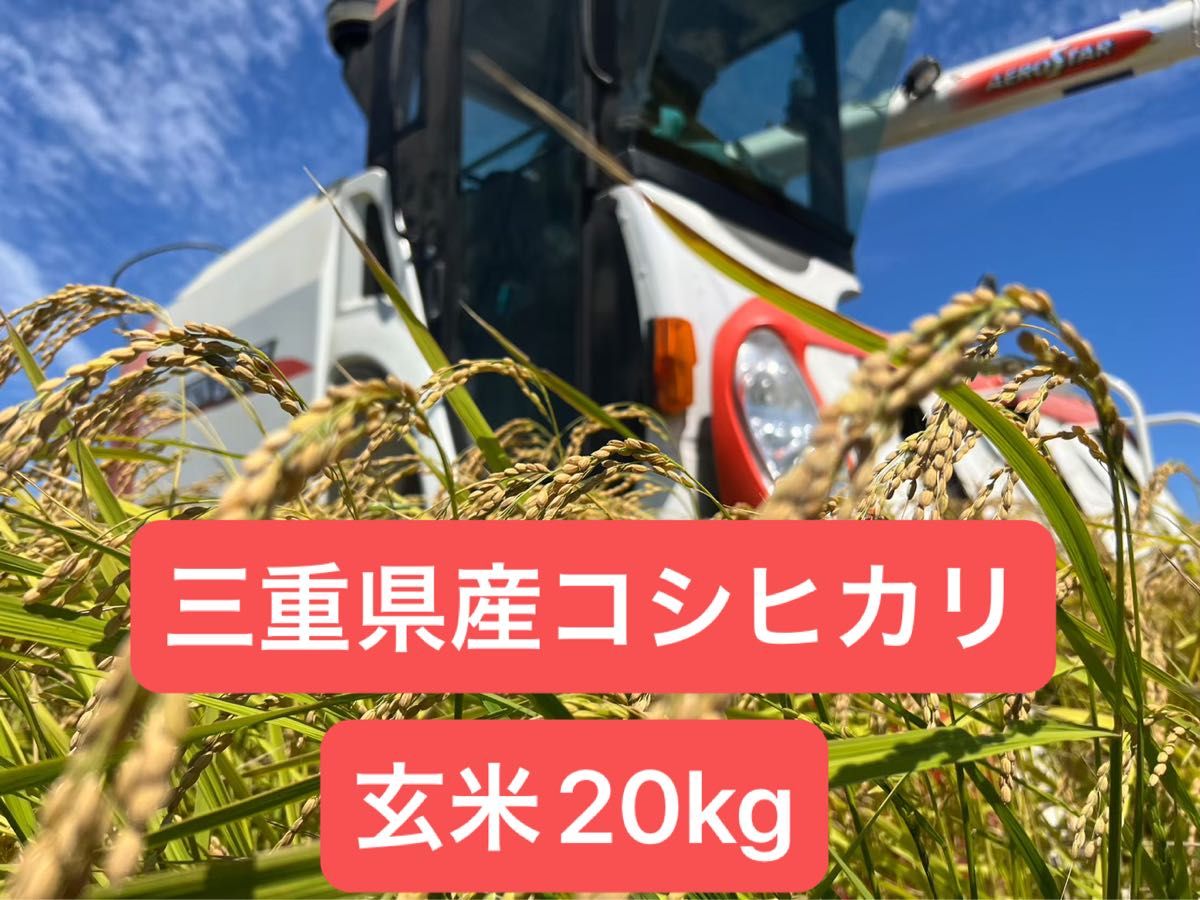 令和7年産農薬不使用コシヒカリ玄米20kg | Shop at JDirectItems