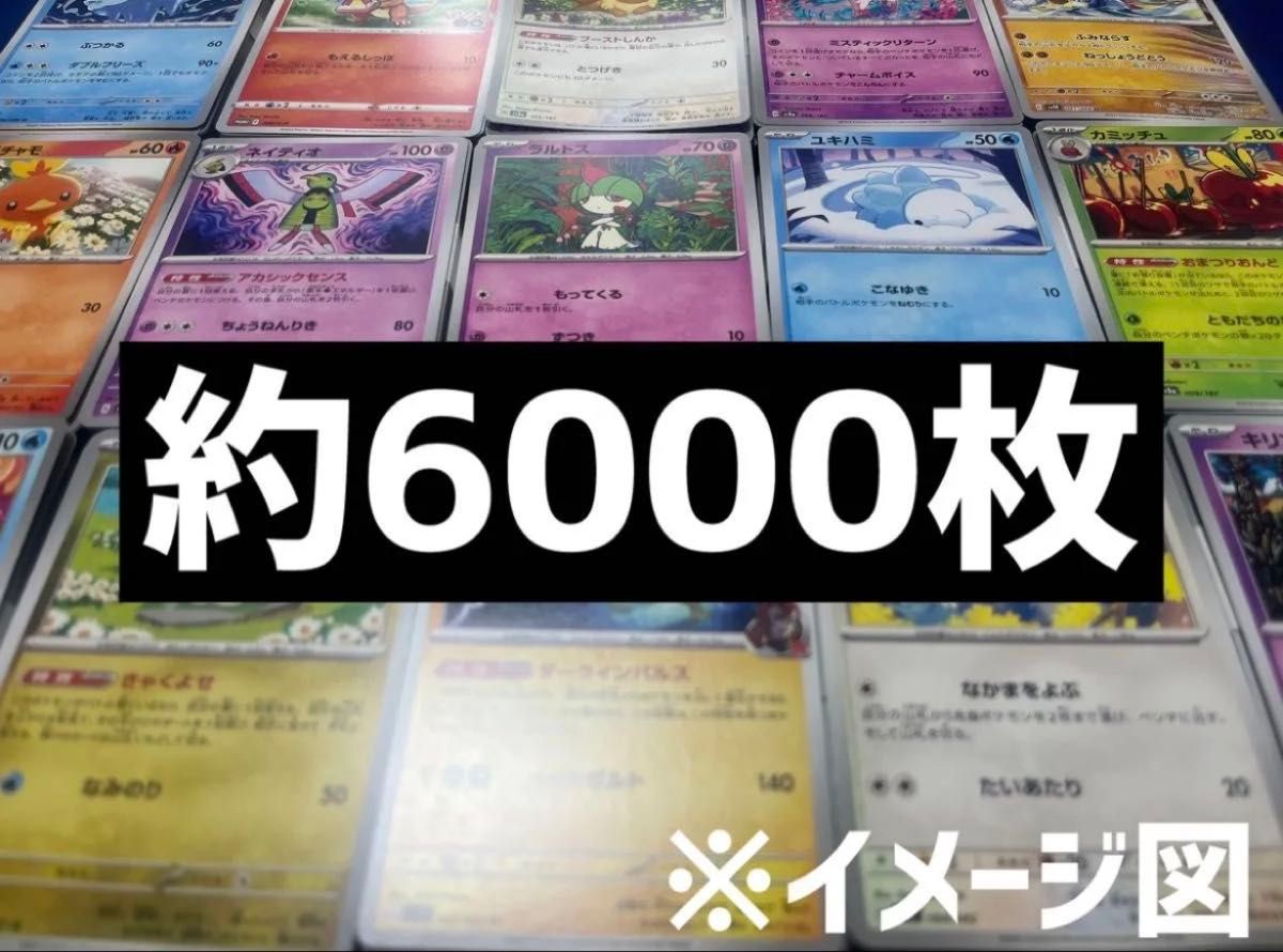 ポケモンカード まとめ売り ダンボール ノーマルカード 引退品 汎用