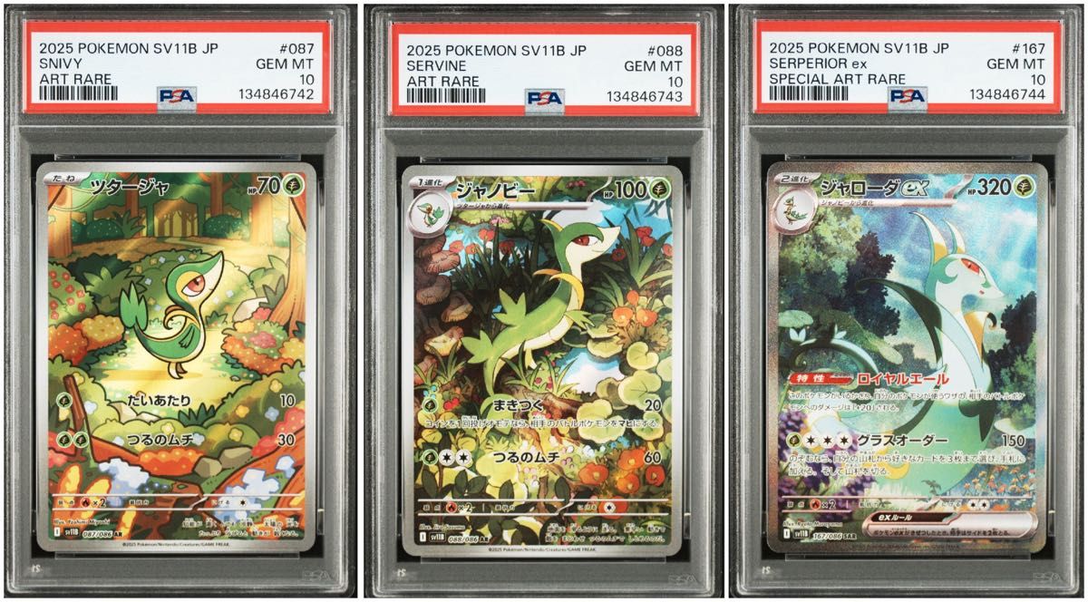 ポケモンカード ジャローダex SAR | Shop at JDirectItems Fleamarket