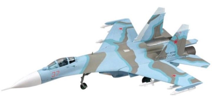 希少品】J-10C 戦闘機 中国人民解放軍 空軍 1/48 精密モデル（全長35cm