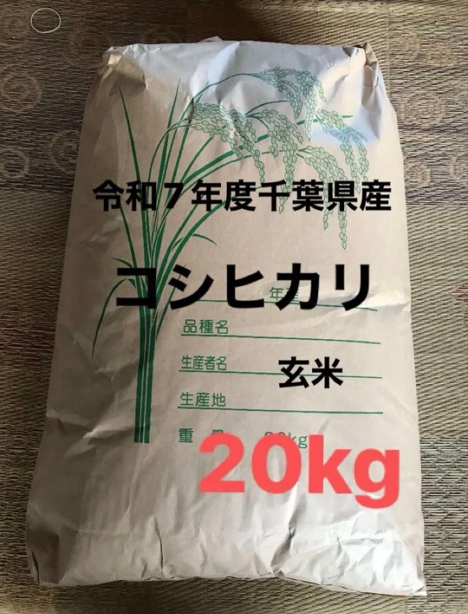 令和7年度千葉県産 コシヒカリ 20kg 玄米 | Shop at JDirectItems