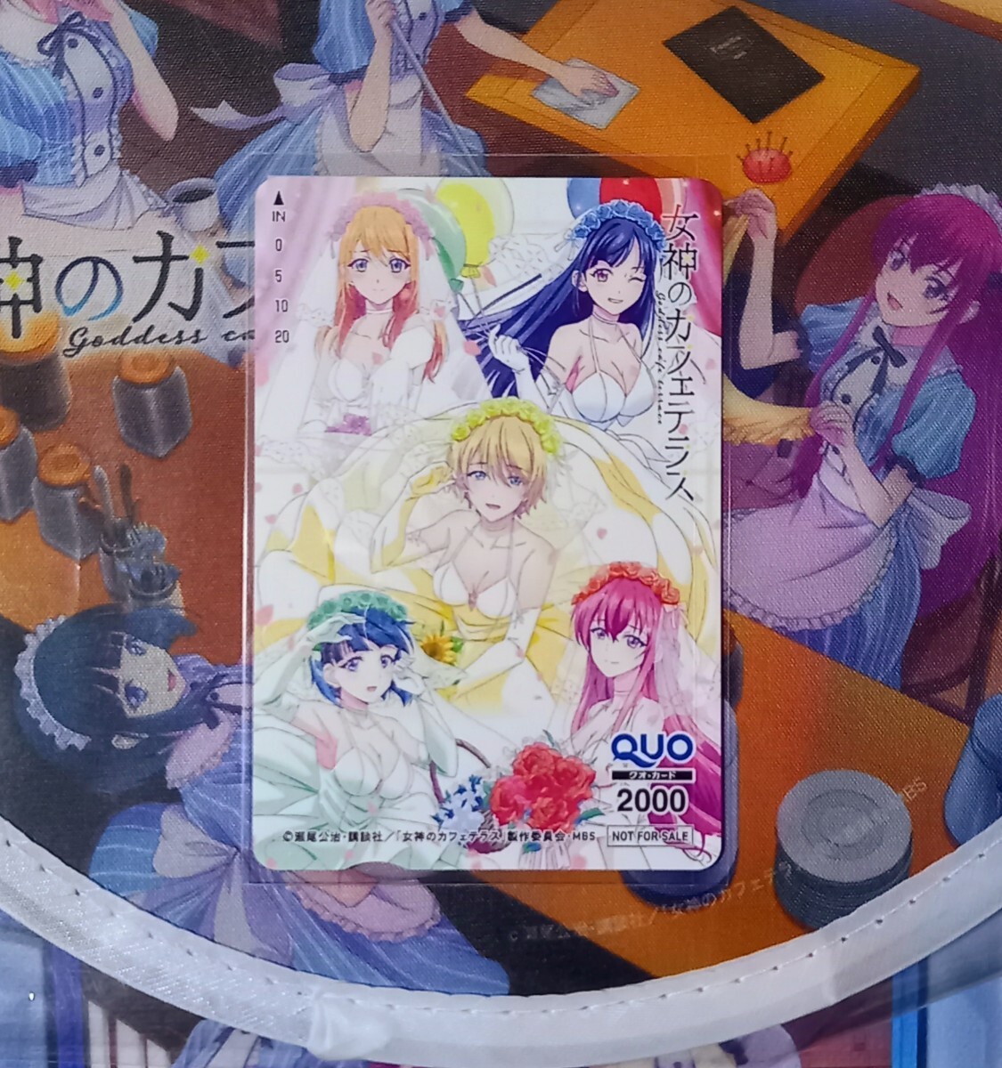 女神のカフェテラス 特製キャンバスアートボード 週刊少年マガジン