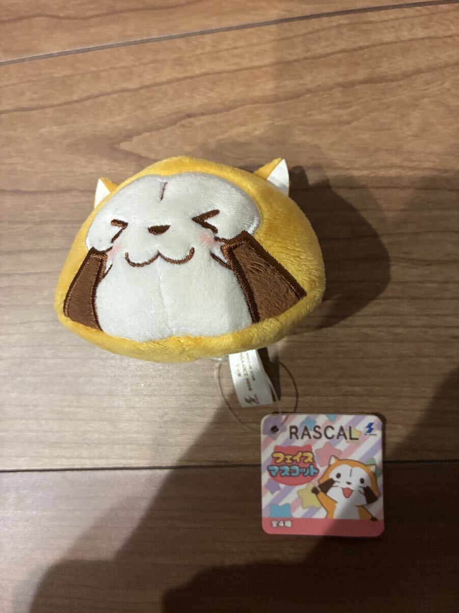 あらいぐまラスカルぬいぐるみ
