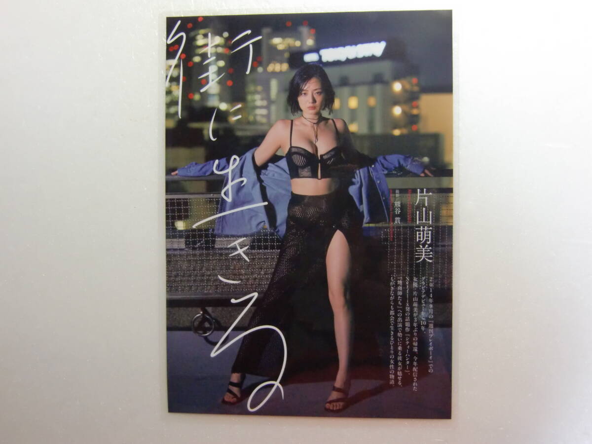 片山萌美 裸芯（品） 【公式通販】