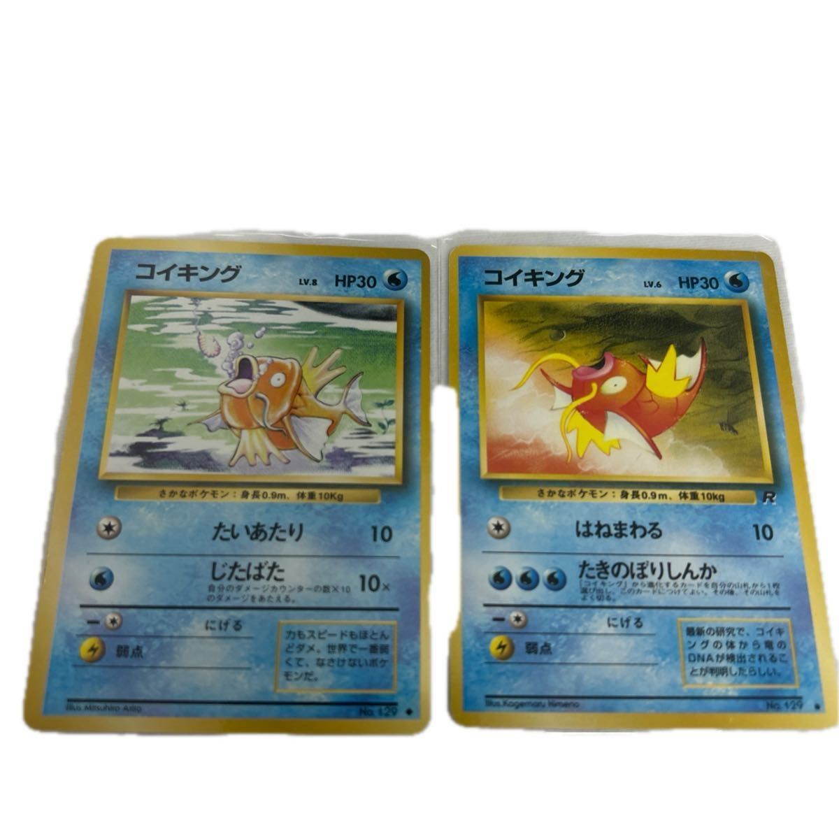 ポケモンカード コイキング 旧裏 | Shop at JDirectItems Fleamarket