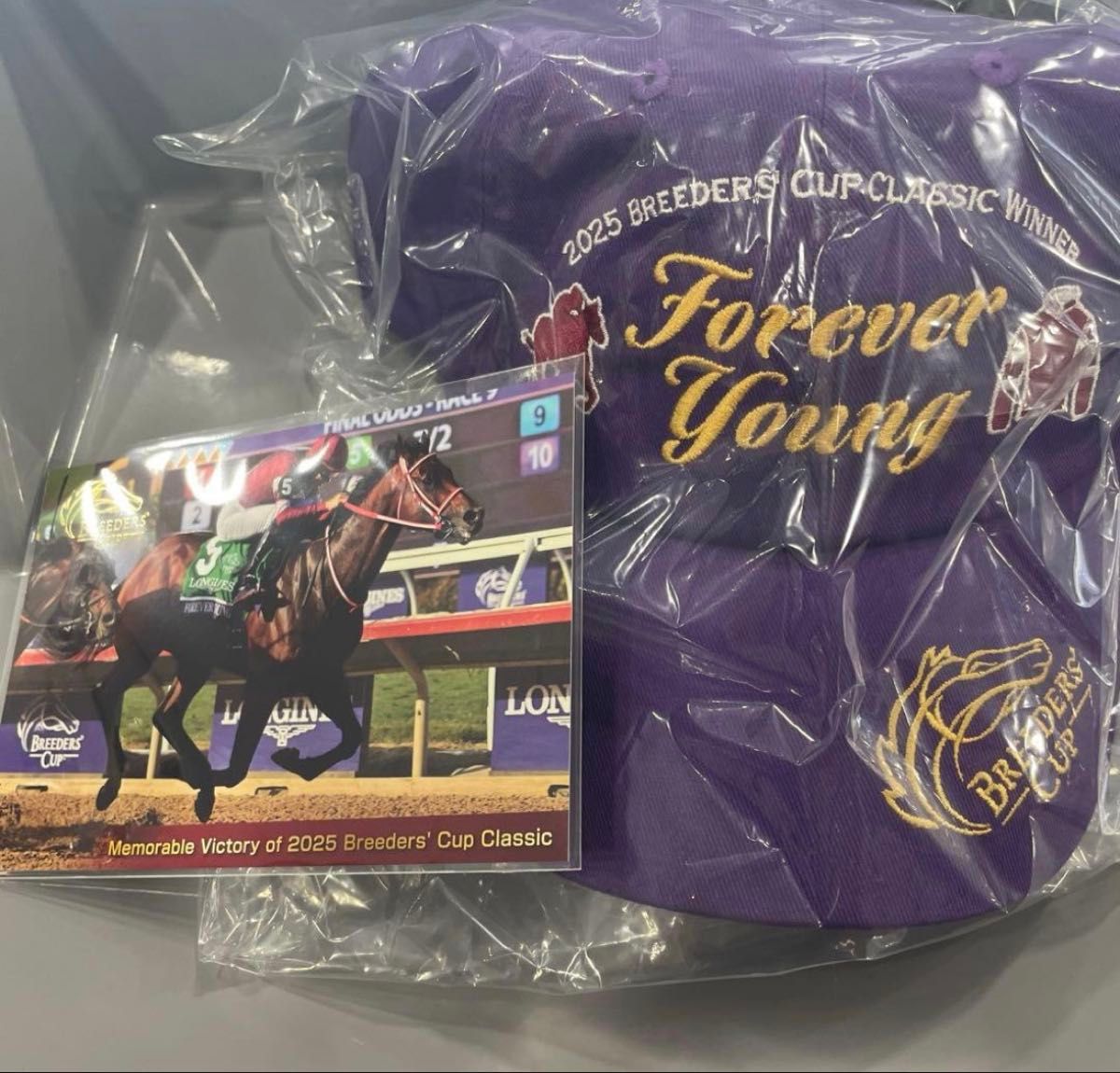 美術品・アンティーク・コレクション welcomeチャンス 競馬