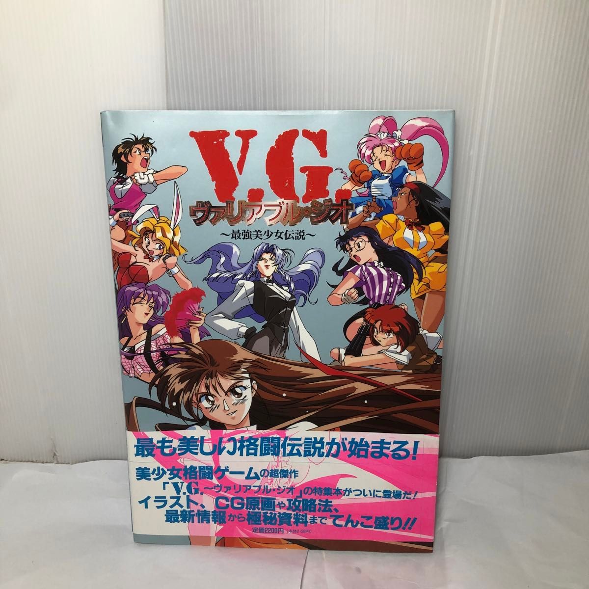 VG ヴァリアブルジオ 最強美少女伝説/ムック/イラスト集/画集/木村貴宏