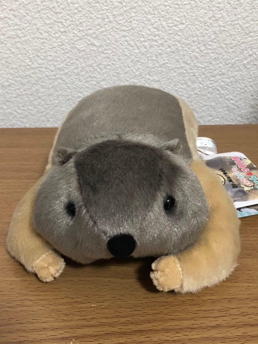 Dr.マーモット まもちおもプクのぺたーん＆マモ相撲ぬいぐるみ 4種