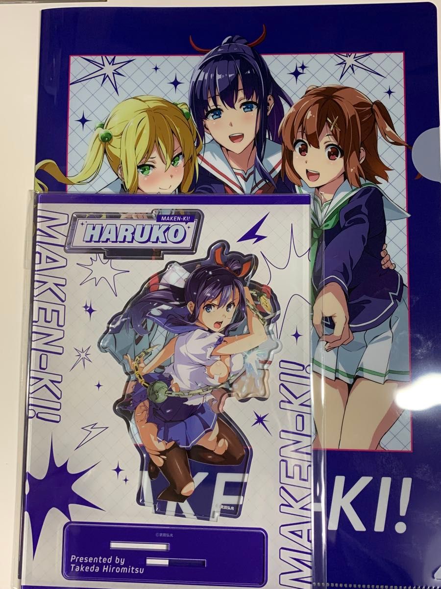 ポスター 武田弘光描き下ろし マケン姫っ！ BIG ポスター ドラゴン 