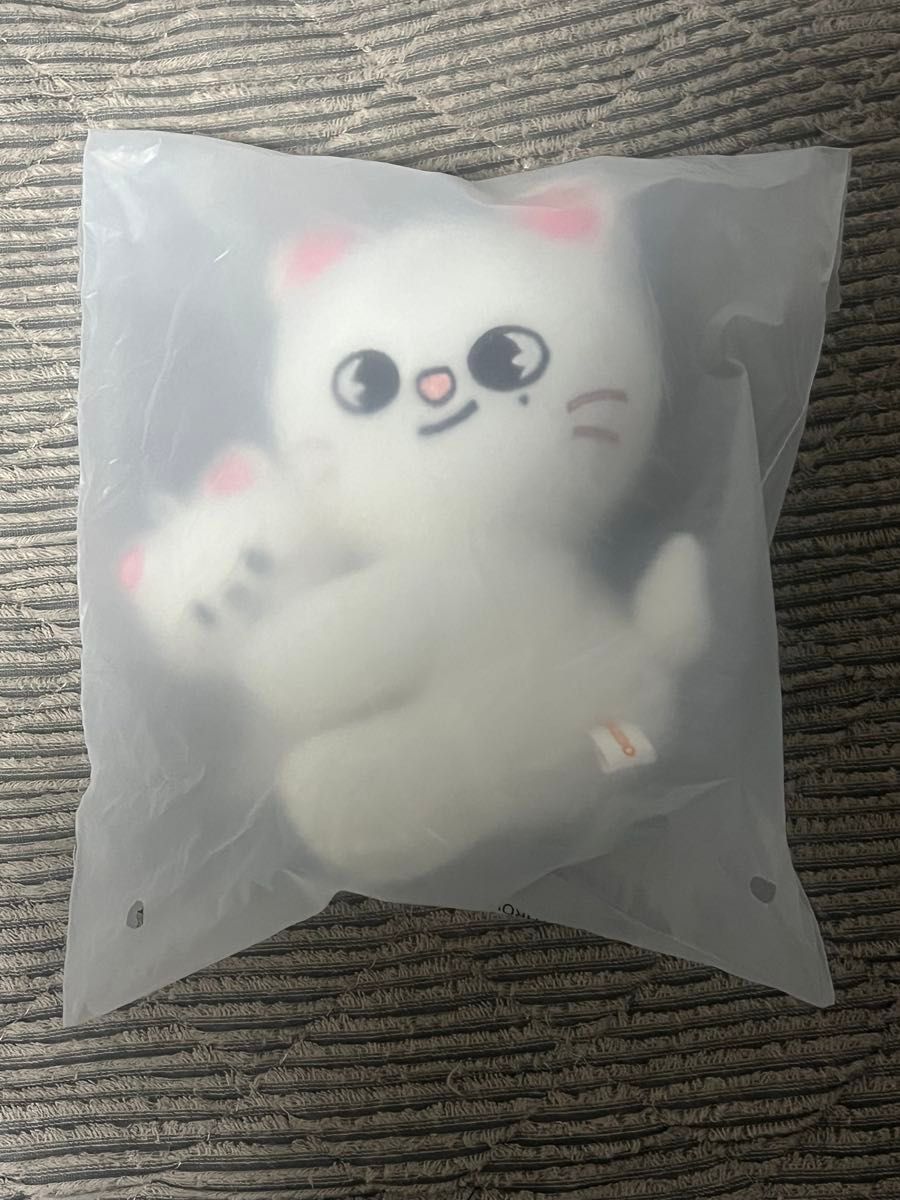Stray Kids SKZOO エコパ ぬいぐるみ ジニレット スキズ | Shop at
