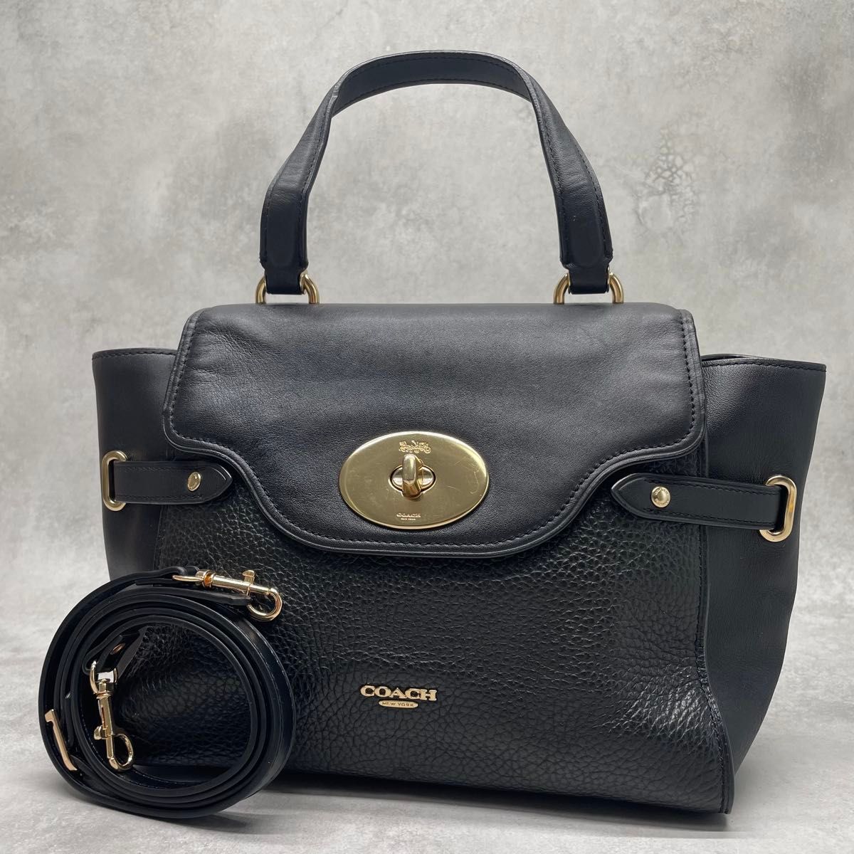 COACH コーチ シグネチャー ミニ ブルック キャリーオール