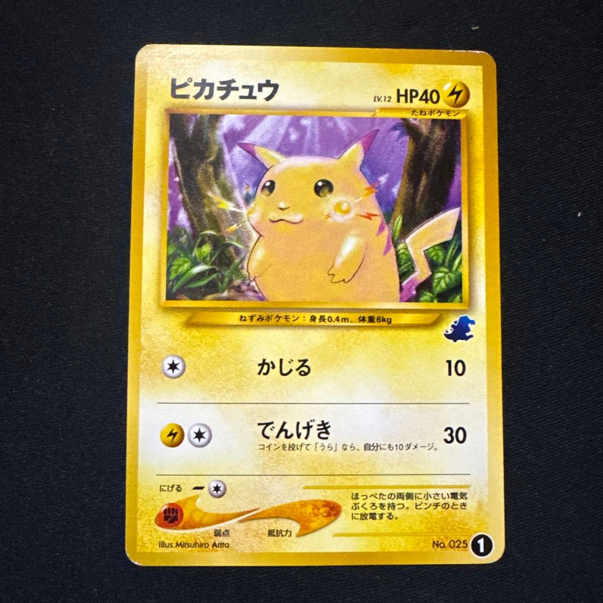 ポケモンカード ドガース イントロパック 旧裏面 旧裏 No | Shop at