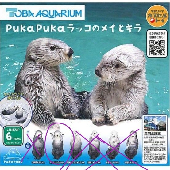 鳥羽水族館 コレクションカード vol.2 レア ロイズ メイ ラッコ | Shop