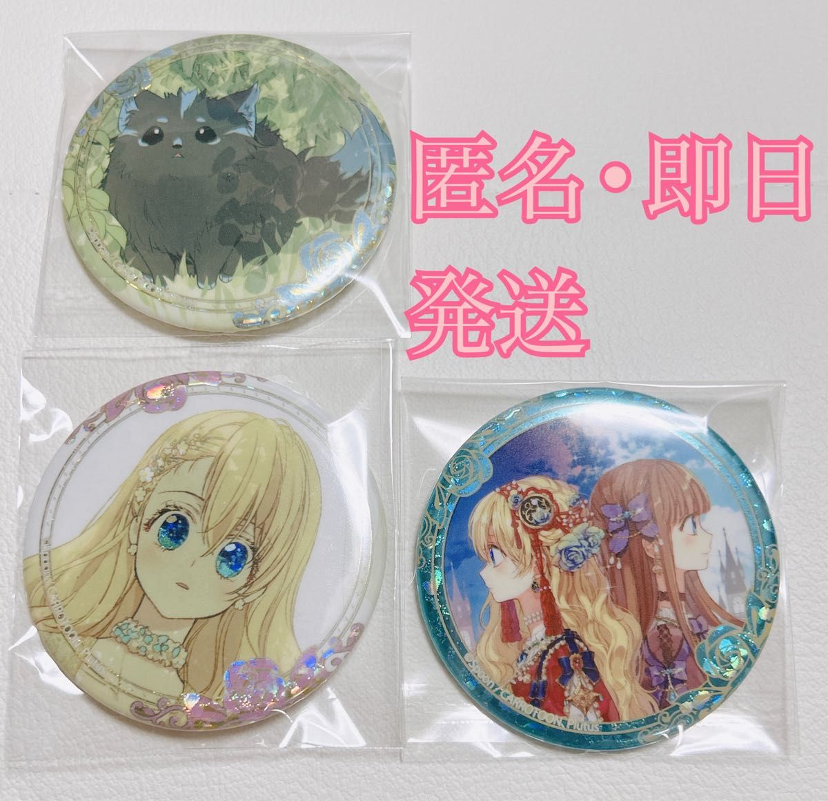 ある姫 ある日、お姫様になってしまった件について ホログラム 缶