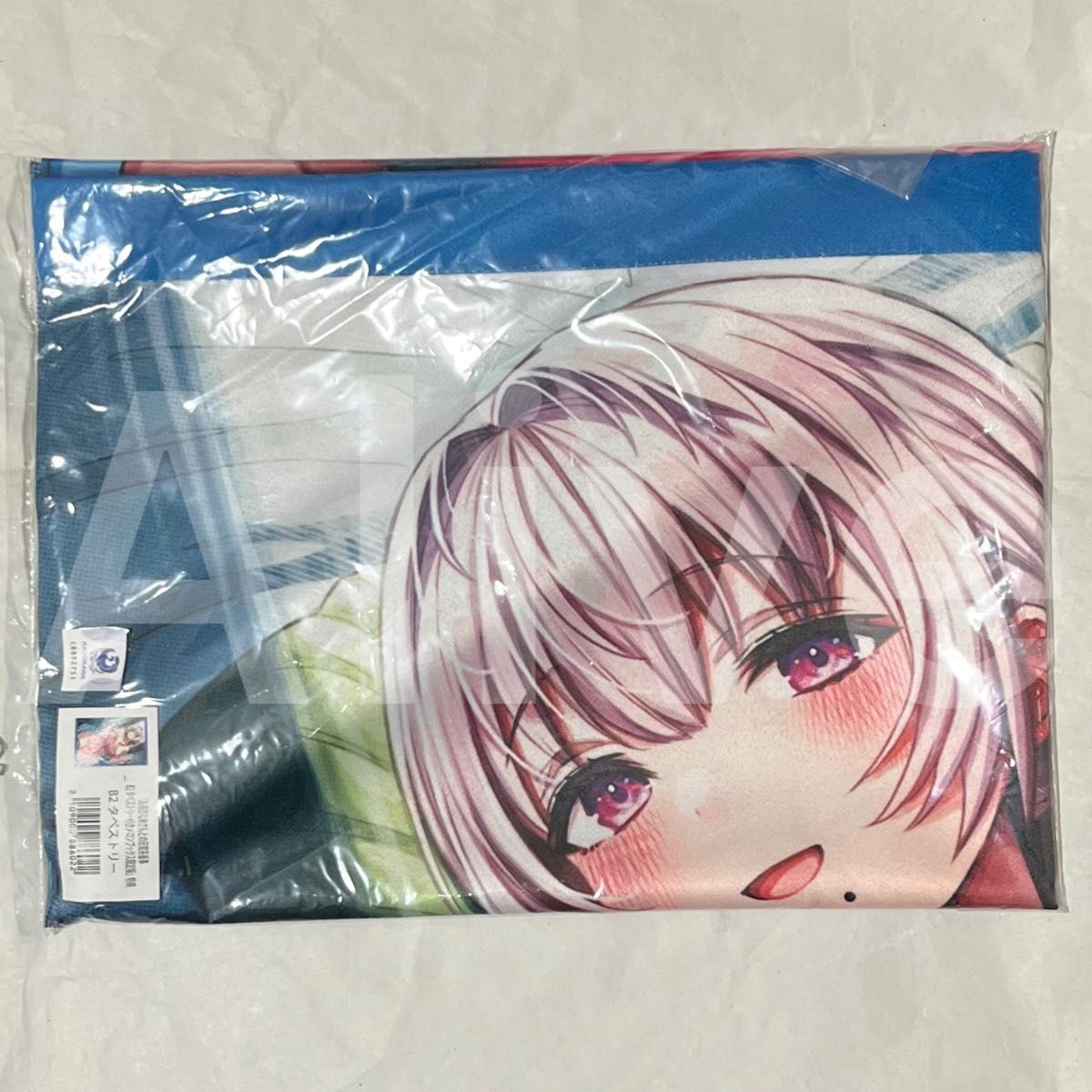 完全解呪のプリースト 1巻 メロンブックス限定版 特典 B2タペストリー