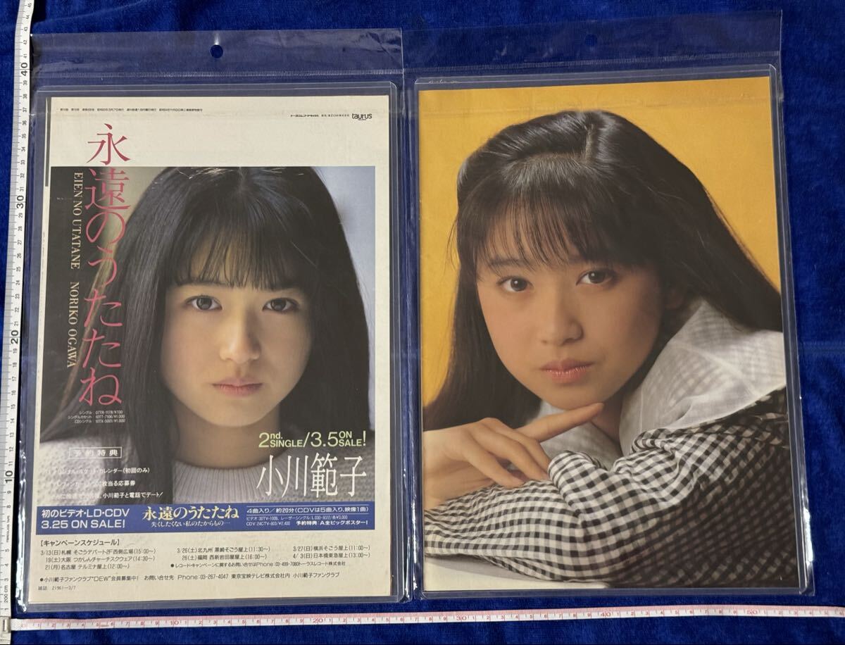 小川範子