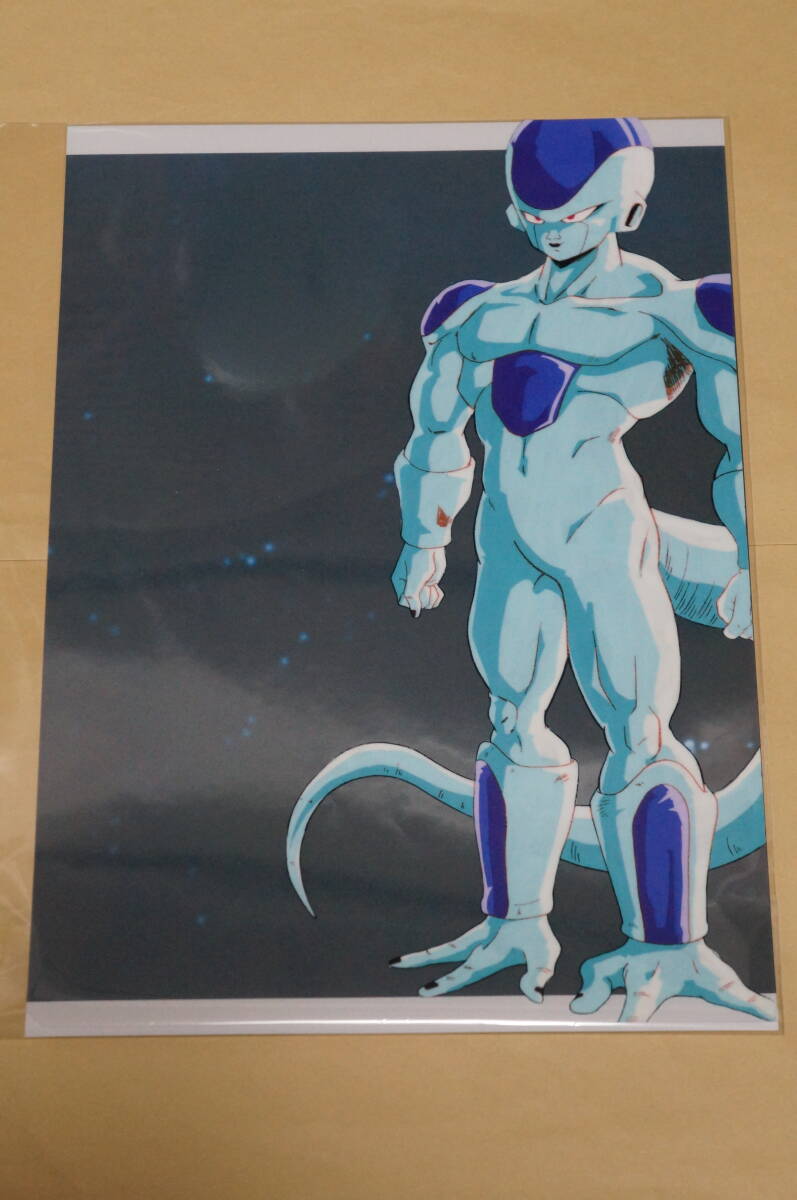 ドラゴンクエスト　モンスターズ　セル画　かりゅうそう　ドラクエ　絵画　原画 ドラゴンクエスト モンスターズ セル画 かりゅうそう ドラクエ 絵画