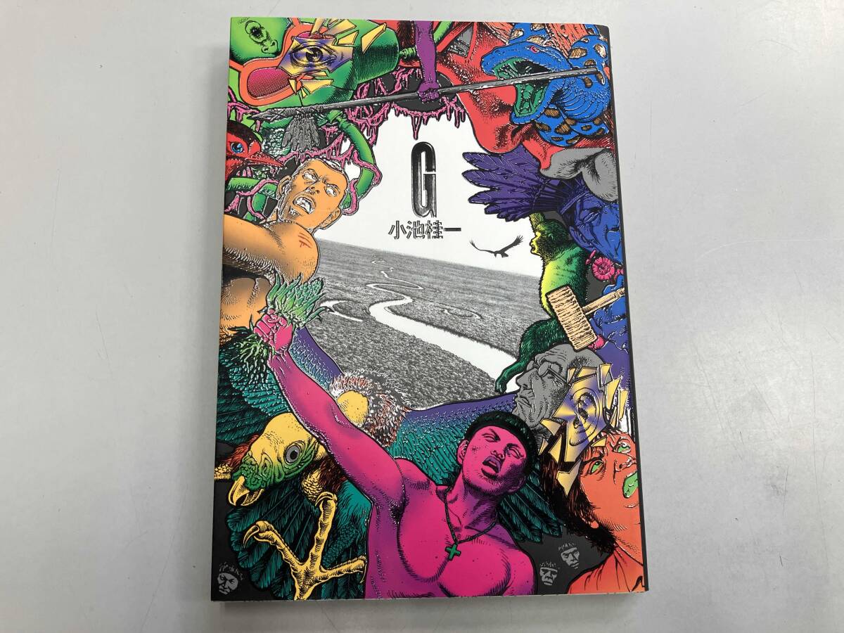 極美品 小池圭一 ウルトラヘヴン ヘヴンズドア ペーパードラッグ 小池桂一