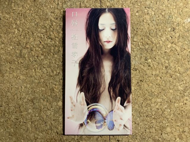 松雪松雪泰子