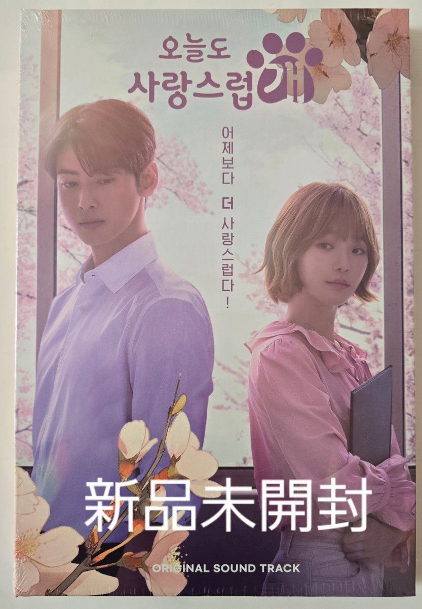 韓国ドラマ ドドソソララソ OST オリジナルサウンドトラックCD 韓国