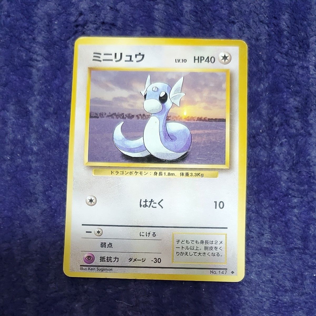ミニリュウ LV.10 HP40 ポケモンカード 旧裏面 No.147 | Shop at