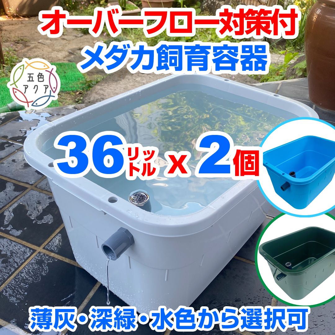 メダカ飼育ケース【タライ36リットル】 | Shop at JDirectItems メダカ飼育ケース【タライ36リットル】 | Shop at JDirectItems
