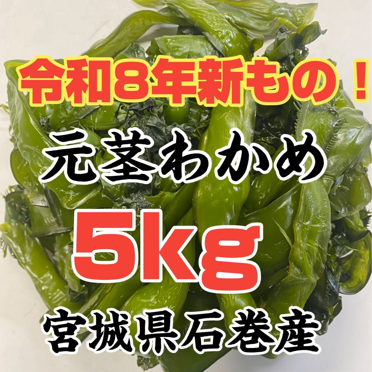 新芽わかめ 元茎わかめセット 宮城県石巻産 新もの | Shop at