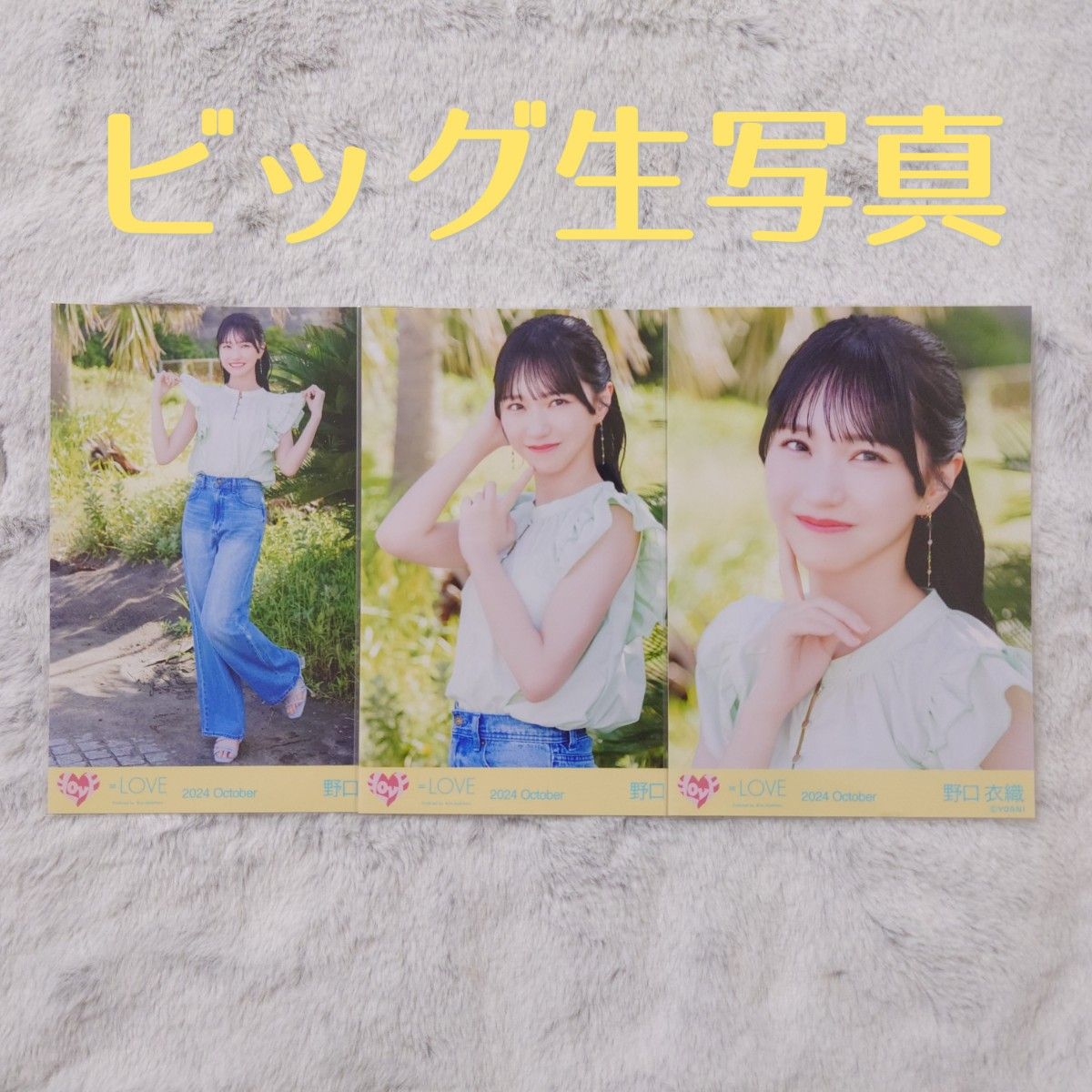 seju 証明写真 2L判 今井環希 古園井寧々 | Shop at JDirectItems