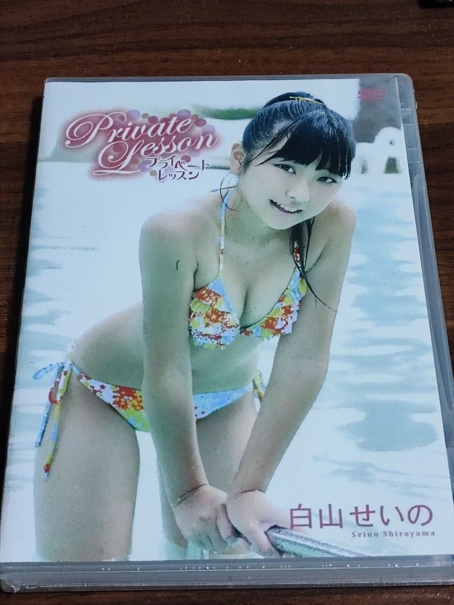 新品未開封DVD 白山せいの 五城せのん プライベートレッスン