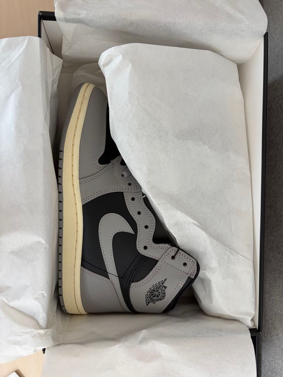 NIKE AIR JORDAN 1 HIGH 85 SHADOW AND REVERSE SHADOW MODEL KIT 