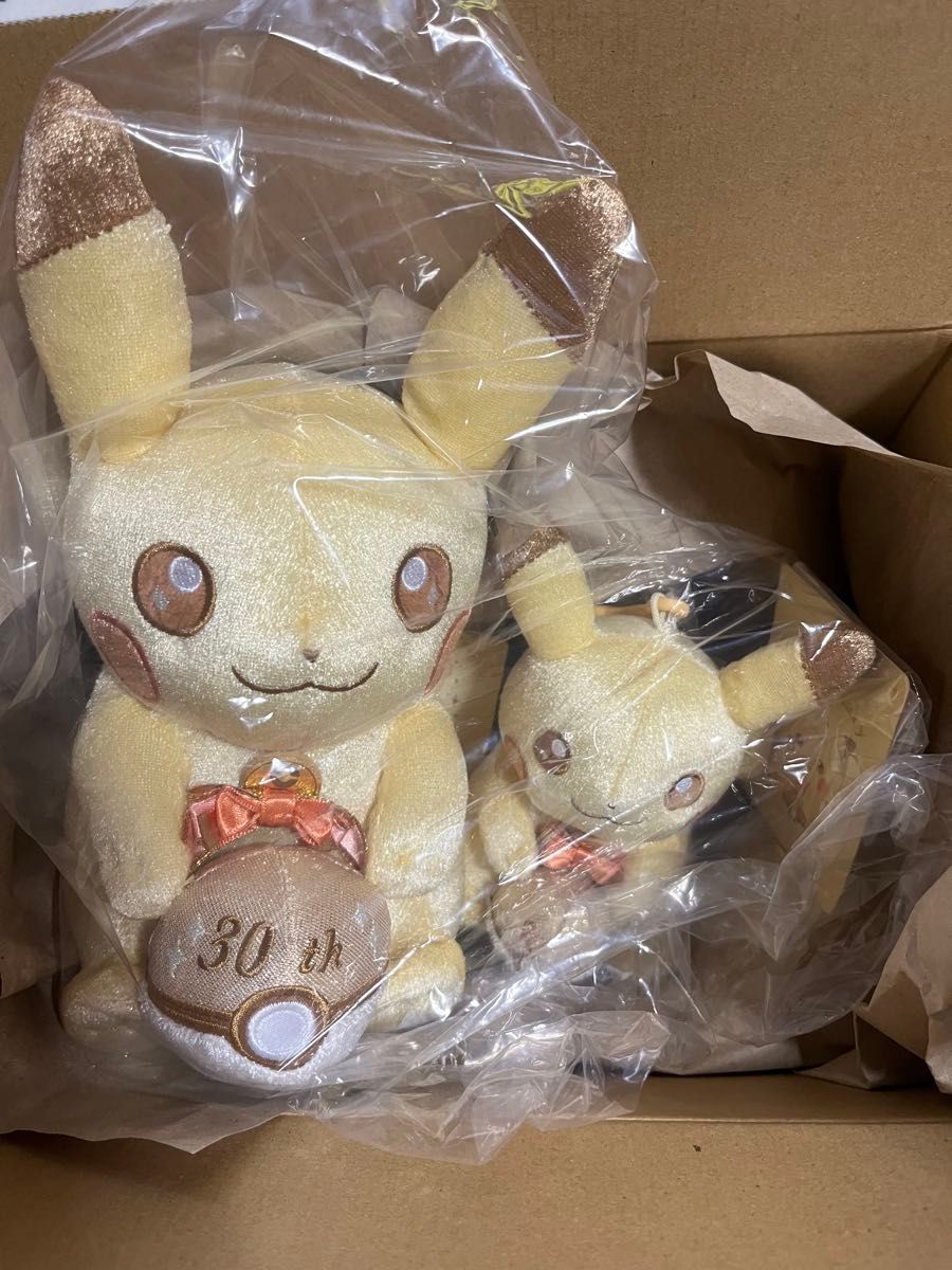 ポケモン はじまりのピカチュウ マスコット ぬいぐるみ 2点セット