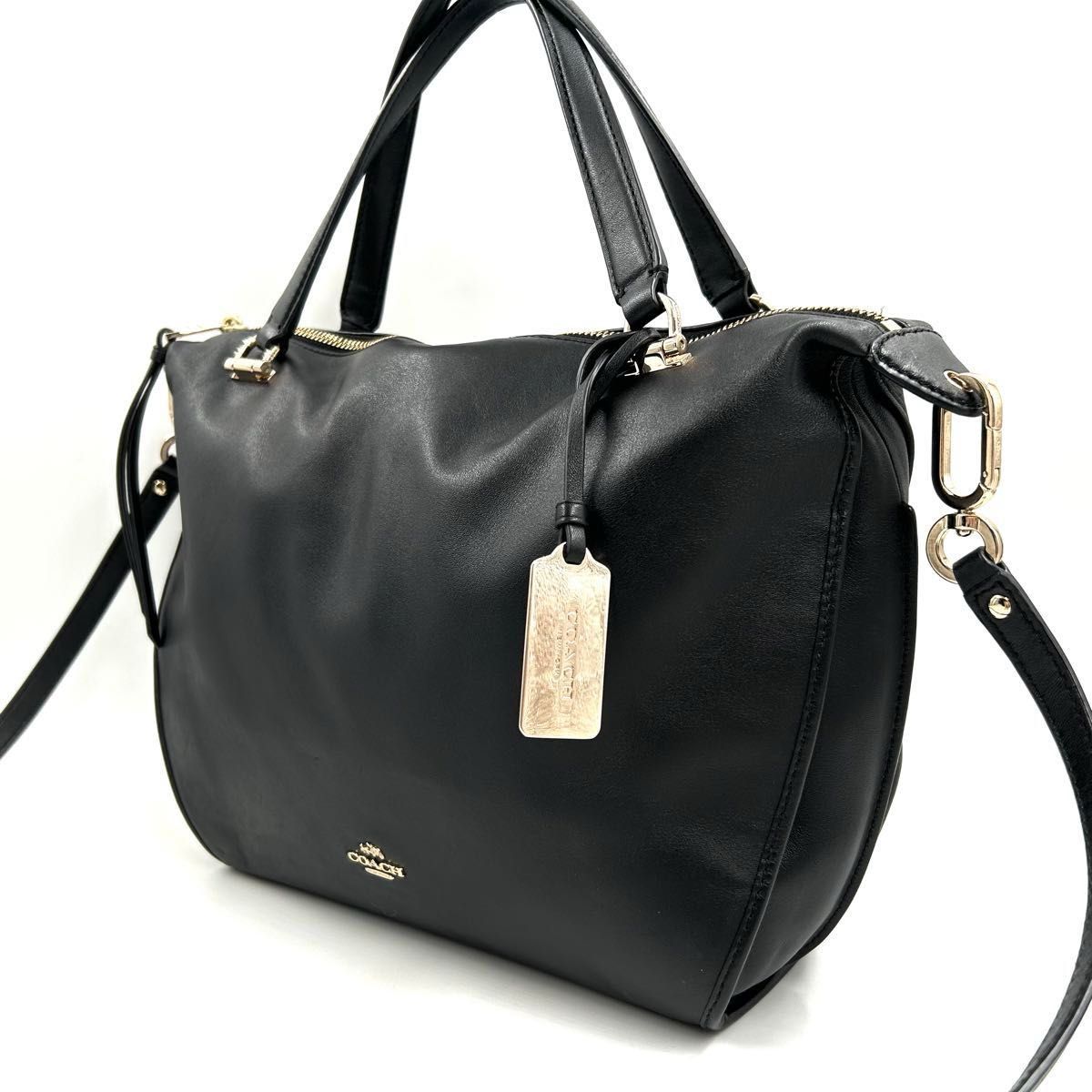COACH コーチ シグネチャー ミニ ブルック キャリーオール