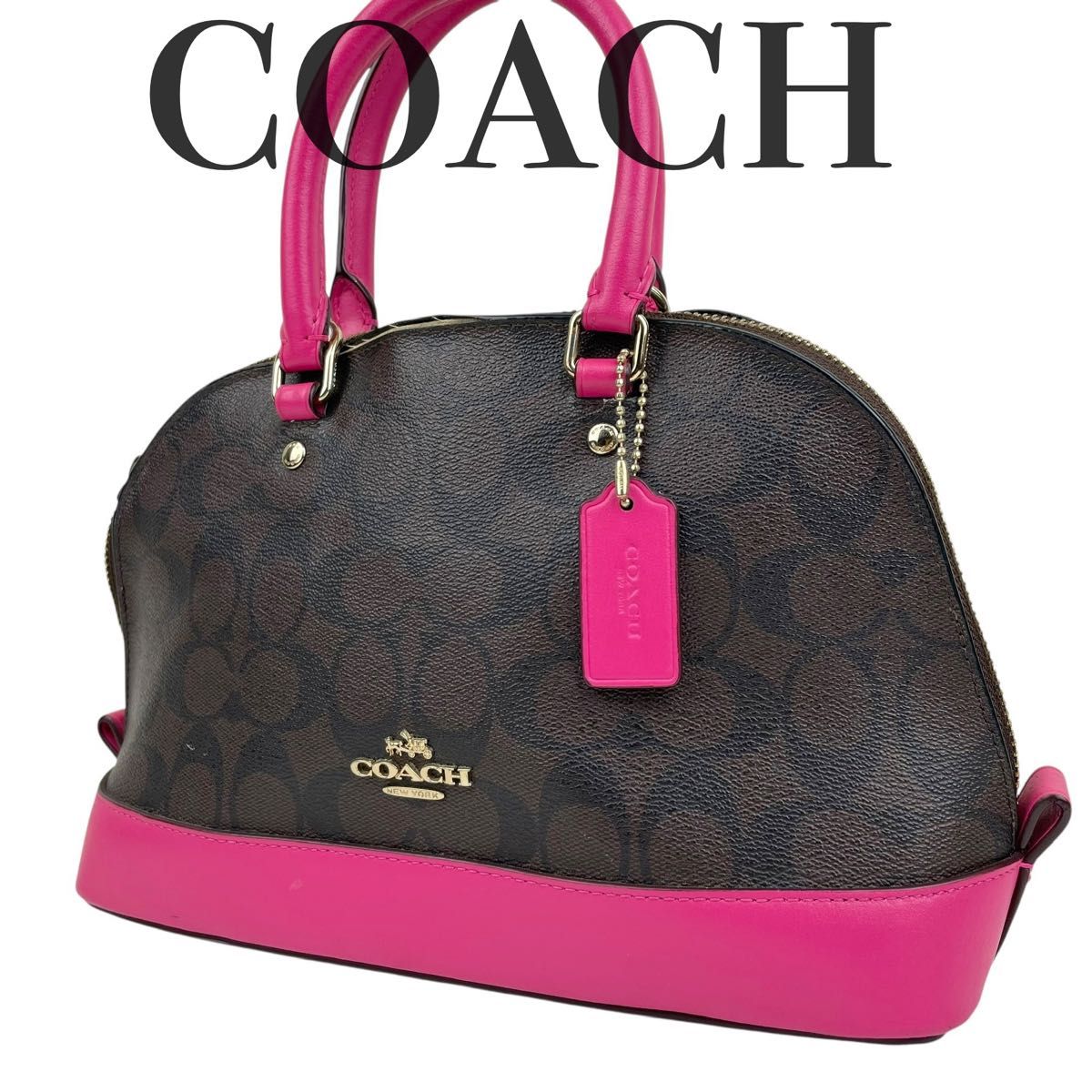 COACH コーチ シグネチャー パイソン トートバッグ 25706 ブラック 黒
