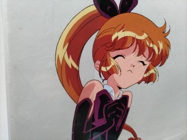 怪盗 セイント・テール