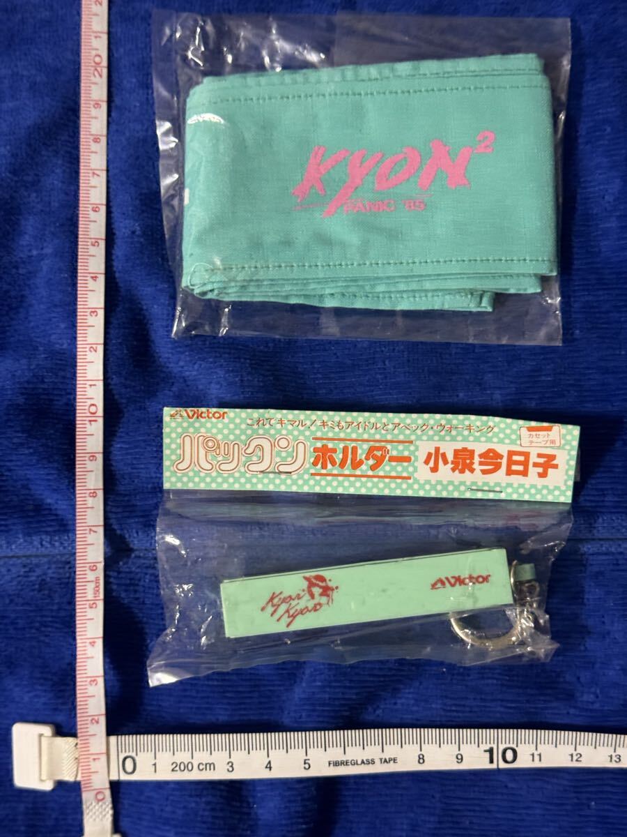 小泉今日子