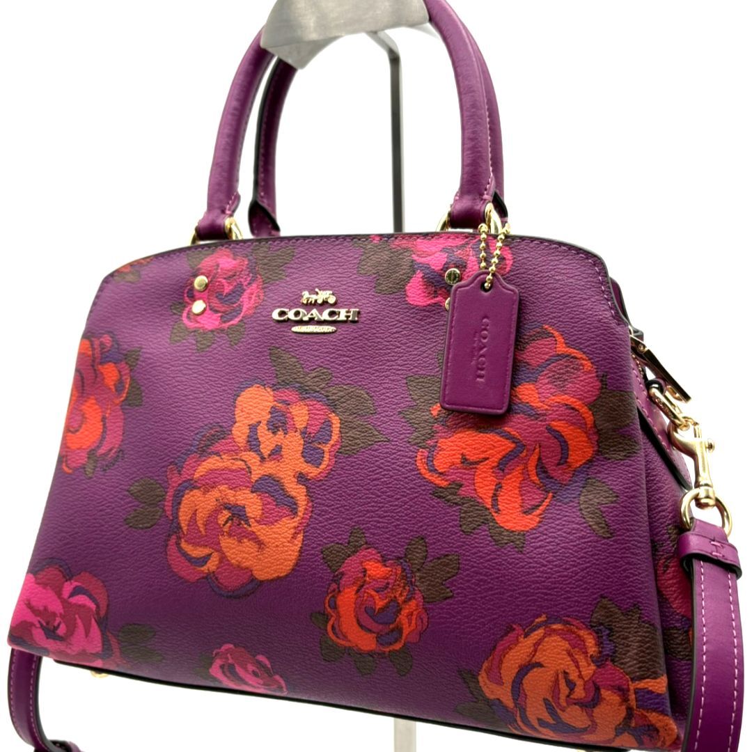 極美品 未使用級】COACH コーチ 限定デザイン人気カメラバッグ