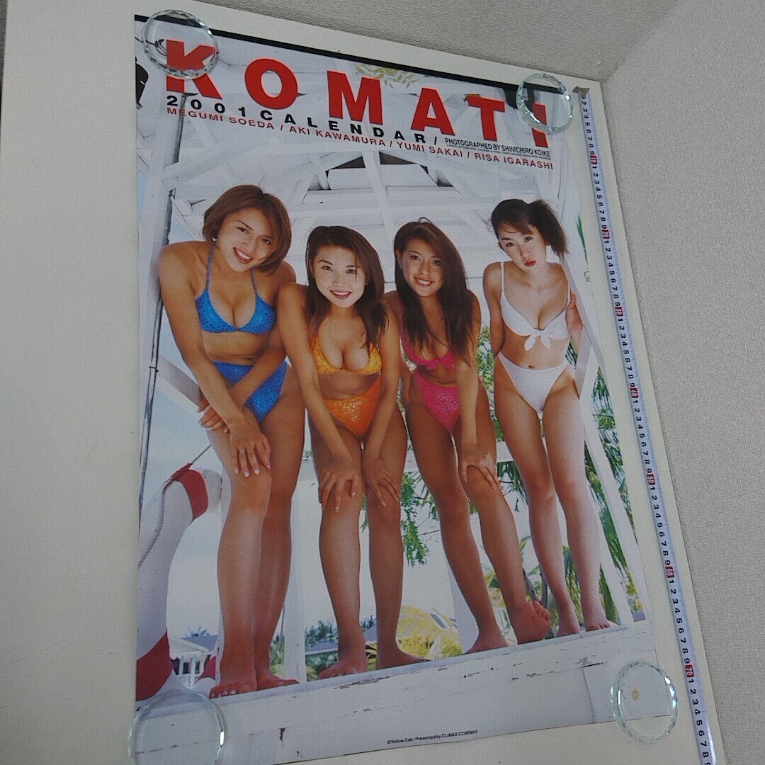 ひな テレホンカード アイドル テレカ 五十嵐りさ ヤングチャンピオン A0033