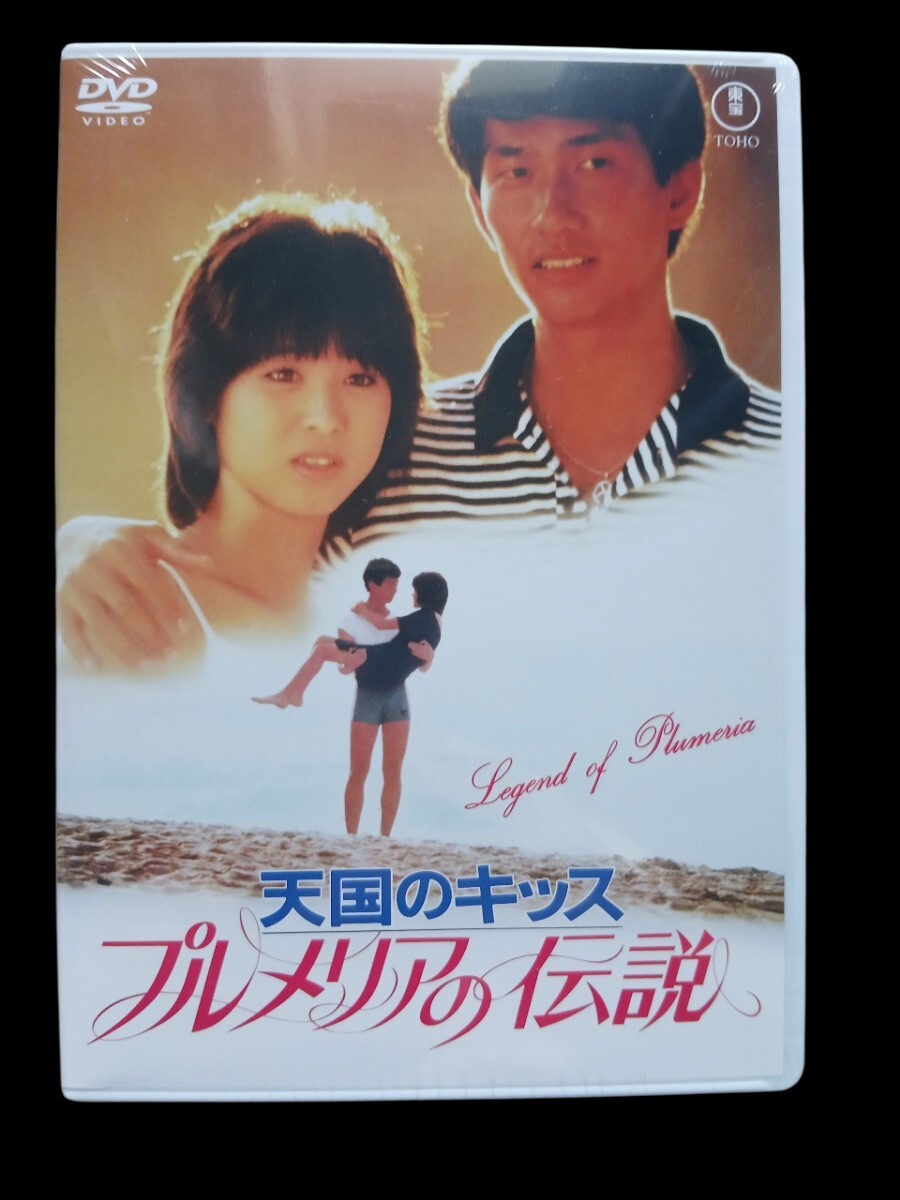 DVD アイドルDVD 矢口聖来 Angel Kiss 聖来姫伝説 新品 未使用