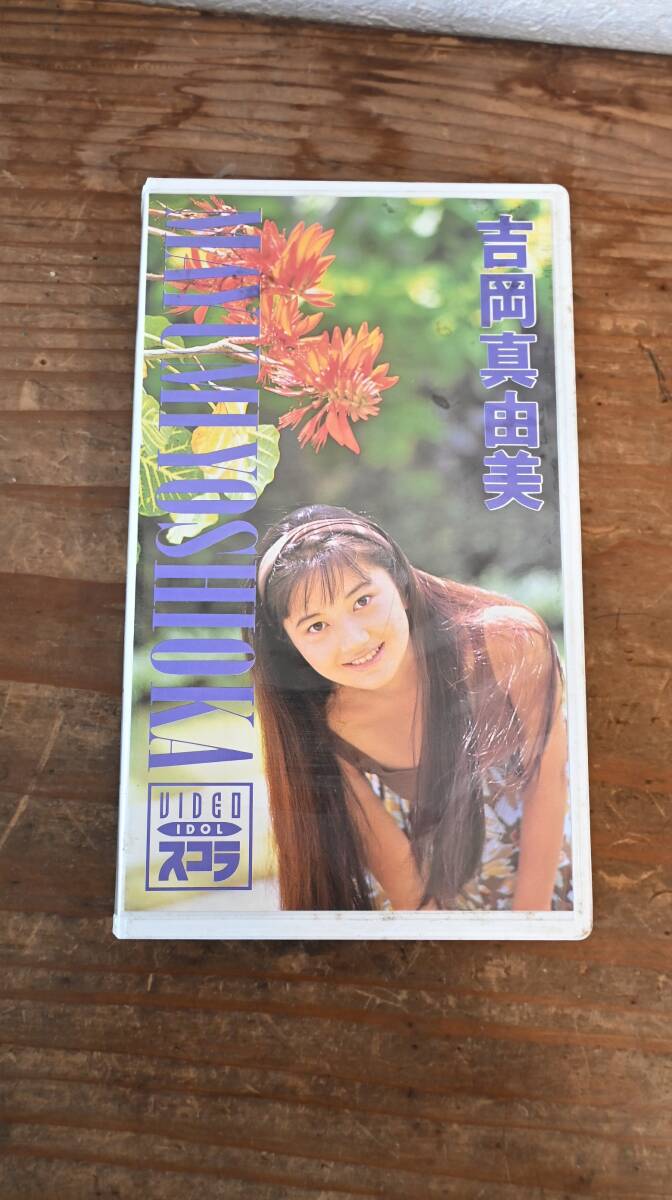 吉岡 真由美