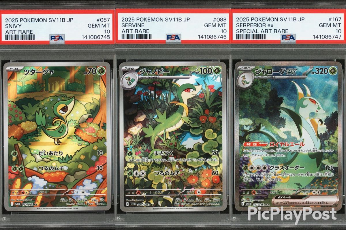 PSA7】ギャラドス R XY7 バンデットリング 021/081 | Shop at