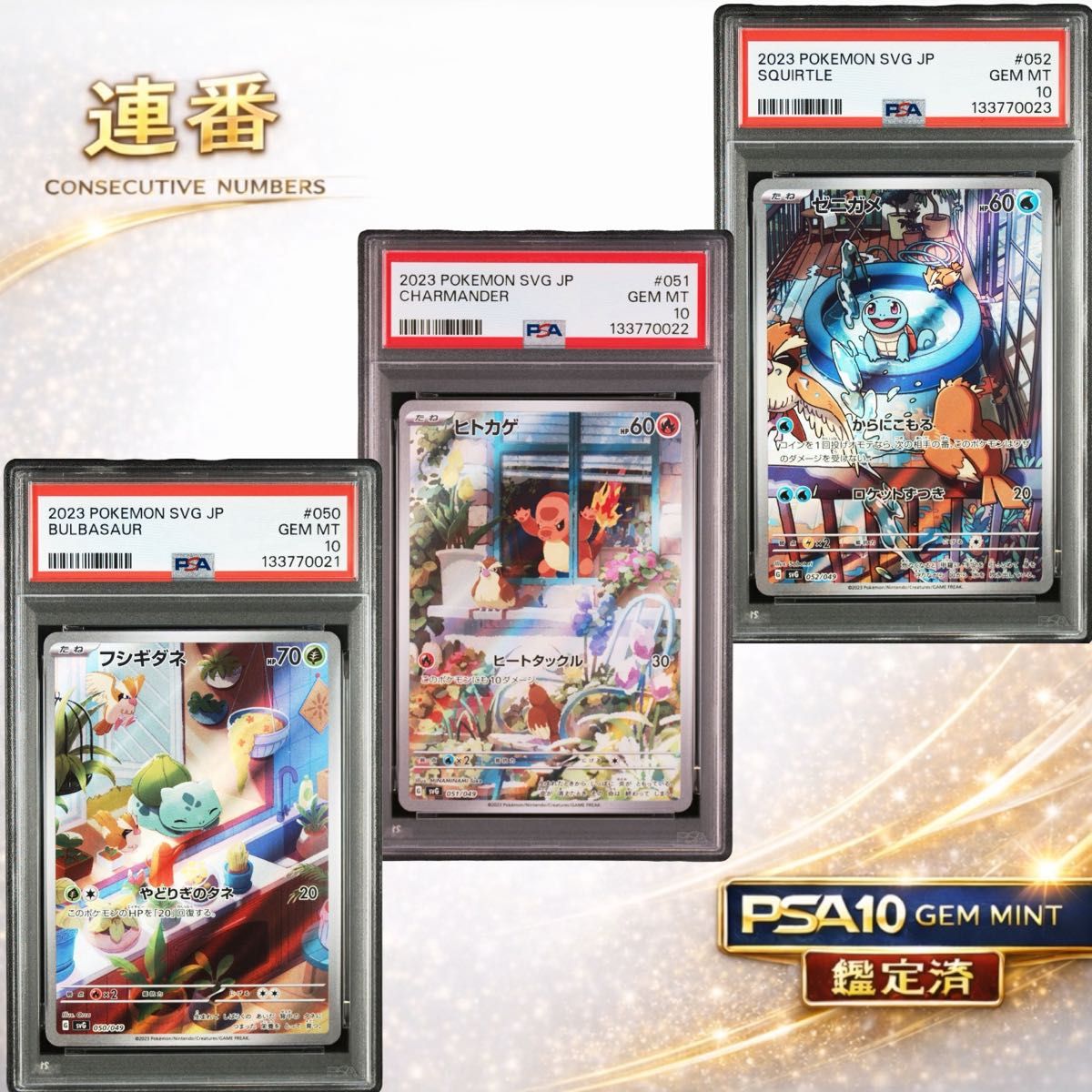 ポケモンカードゲーム ゼニガメ AR スペシャルデッキセットex | Shop