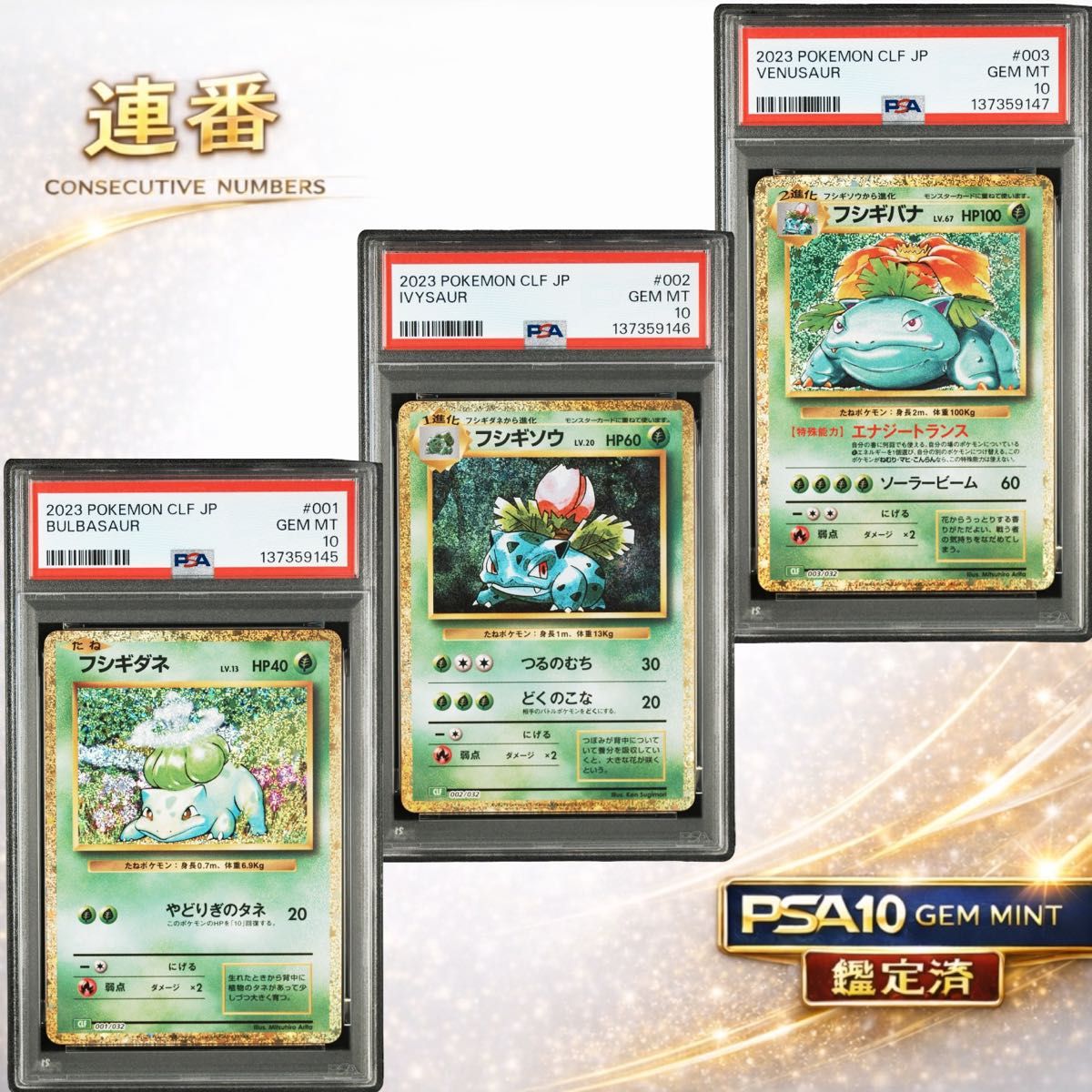 PSA10 連番 ピカチュウ ライチュウ classic ポケモンカード クラシック