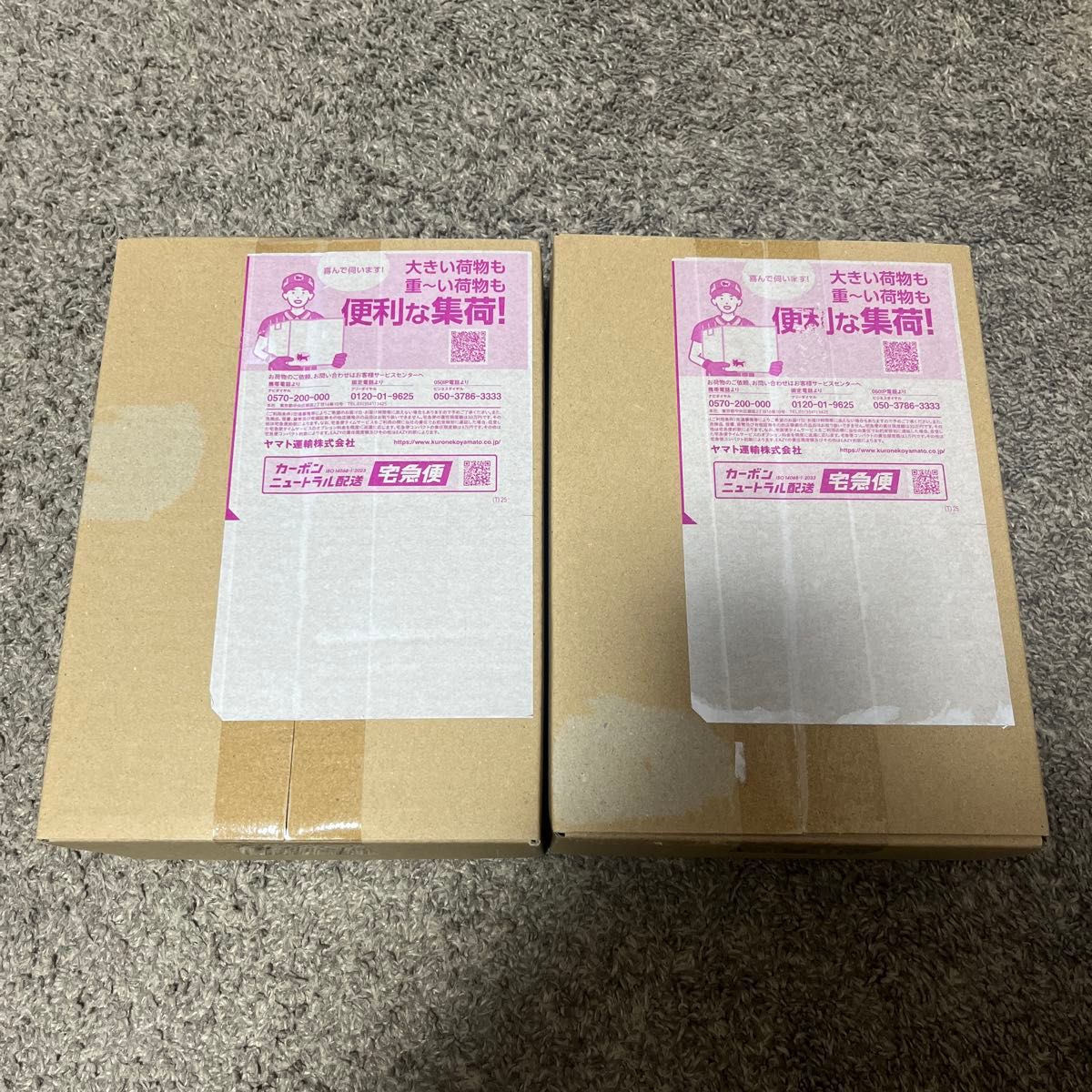 未開封】 インフェルノX BOX ポケモンセンターオンライン当選品