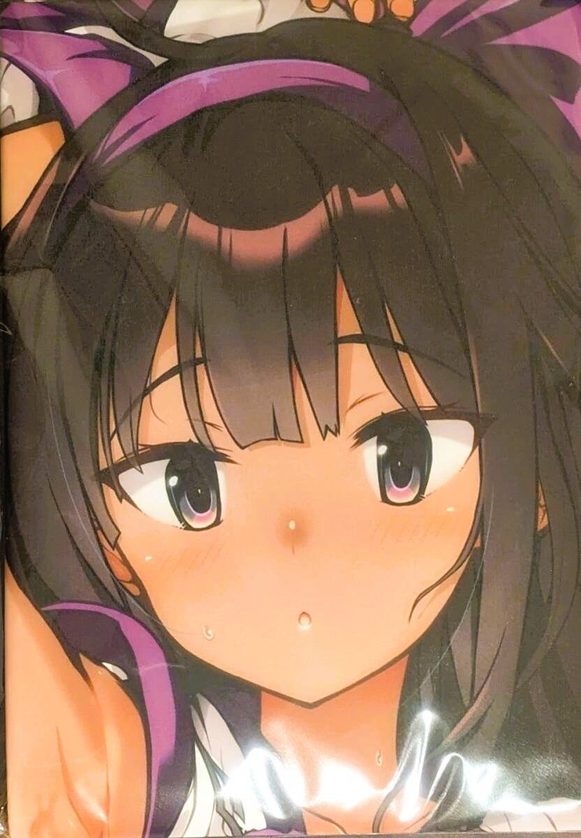 富士浅間堂 抱き枕