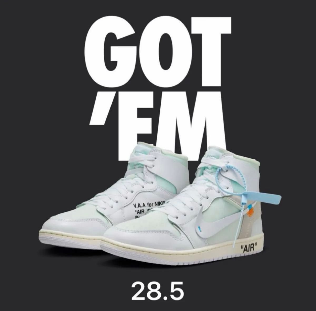 Virgil Abloh Archive Nike Air Jordan 1 Retro High OG Alaska 28.5 