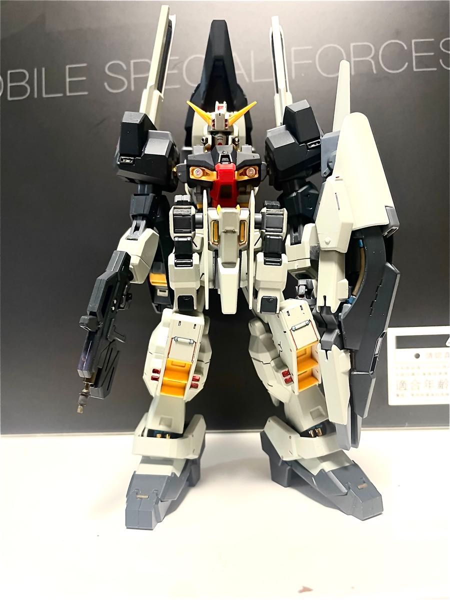 MG ゲルググ シーマ ガラハウ専用機 (全塗装) | Shop at JDirectItems
