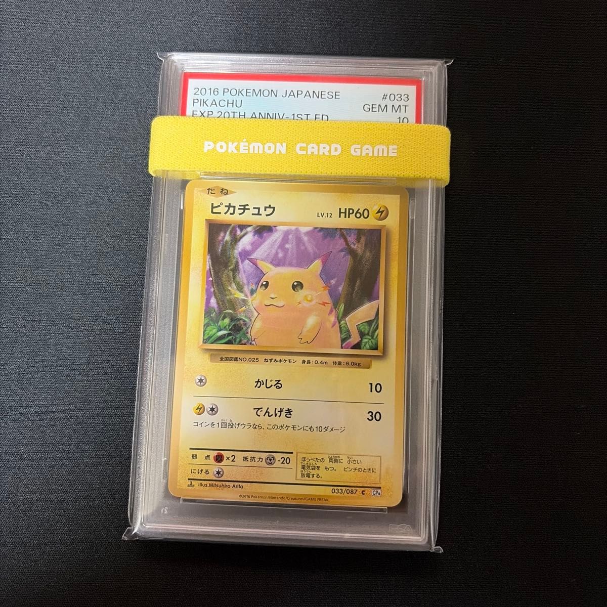 PSA10 ピカチュウ 2023 POKEMON CLL JP GEM MT 10 ポケモンカード